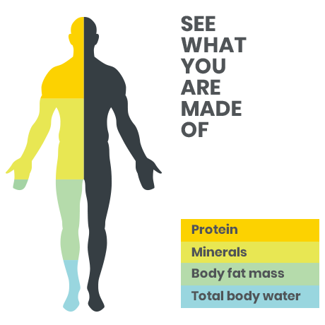 Learn about Body Composition Analysis: Fat, Muscle, Water, Cellular Health,  and More.